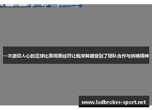 一次激动人心的足球比赛观赛经历让我深刻感受到了团队合作与拼搏精神